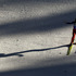 Евгений Климов: «С нового сезона буду целенаправленно готовить себя к прыжкам на лыжах с трамплина»