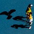 Кербер стала третьей теннисисткой, не проигравшей в первом круге «Уимблдона»-2015 ни гейма