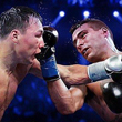 Проводников Matthysse