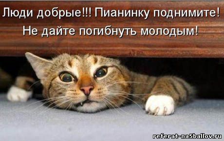 http://s5o.ru/storage/simple/ru/ugc/73/26/30/67/ruu22b538ed3b.jpg