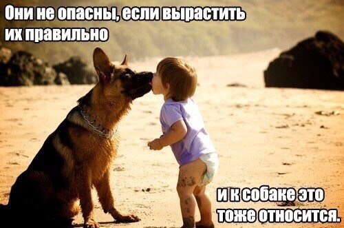 Поздравления с днем рождения сыну от родителей Паркетные работы Цены на укладку массивной доски, ремонт