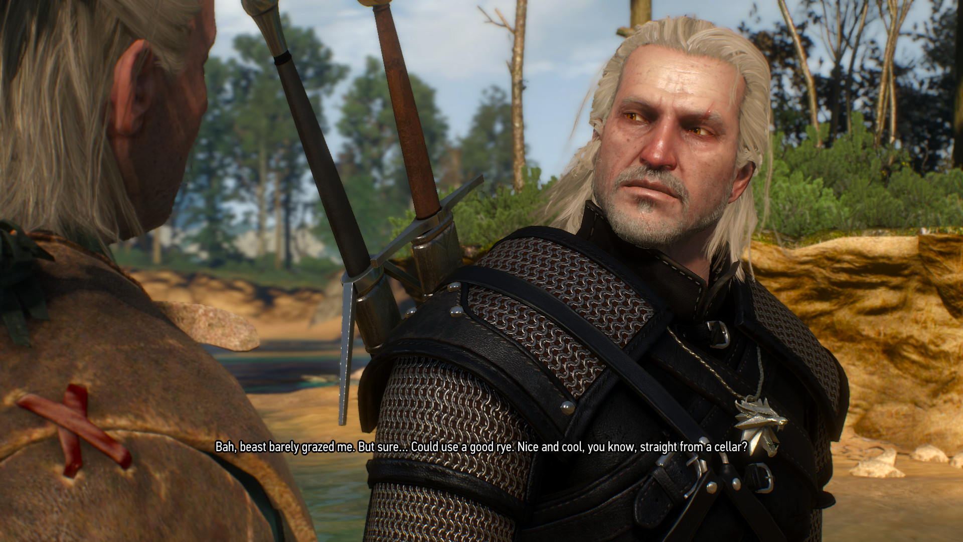 The witcher 3 лучшие моды фото 84