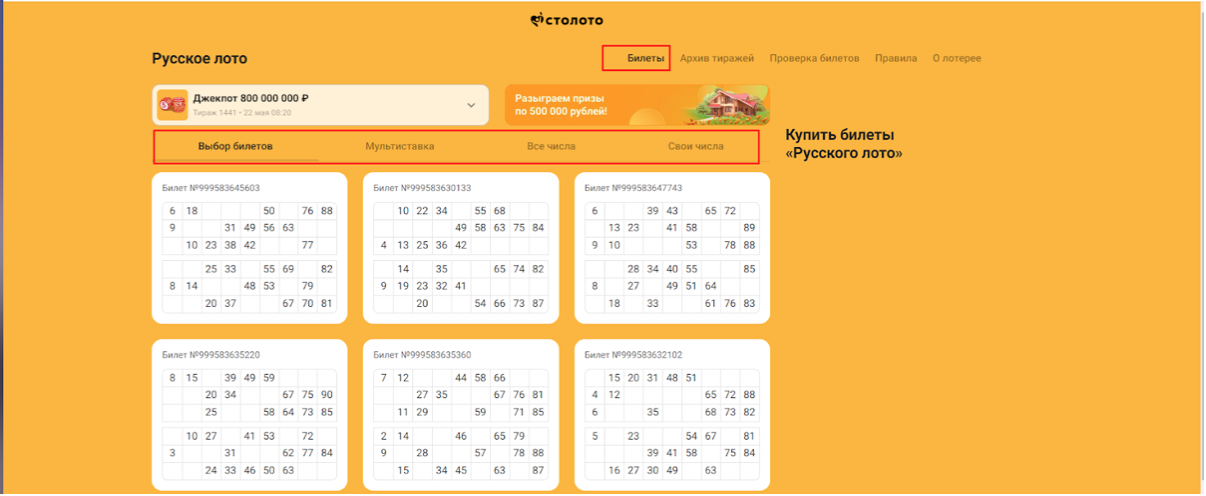 Покупка билета на сайте stoloto.ru