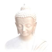 White Buddha, White Buddha