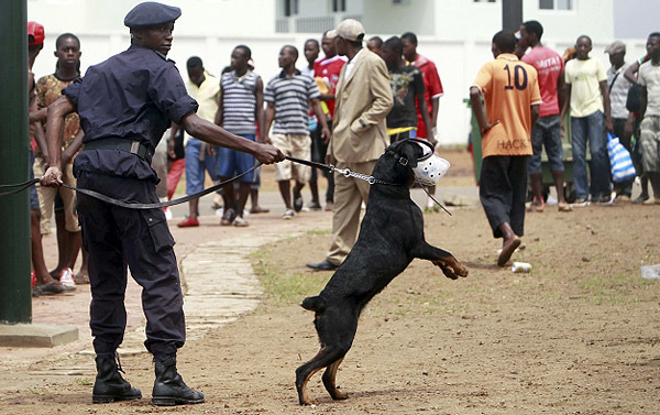 кубок африки_06