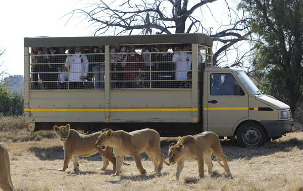 южная африка_20