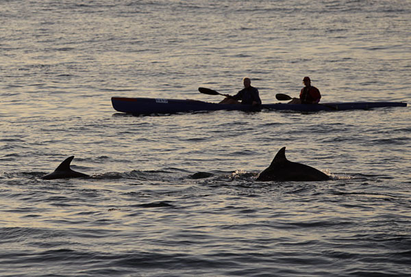 южная африка_29