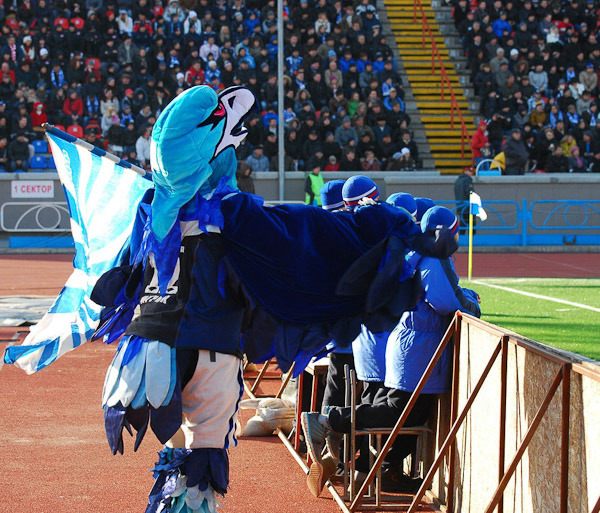 бол8