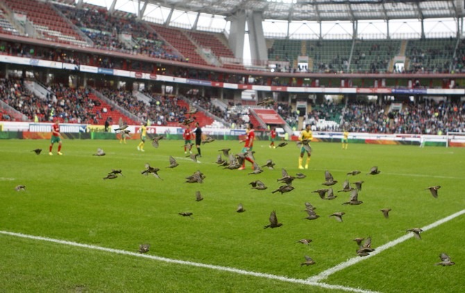 локо-кубань_03