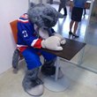 Анатолий Протасеня, Гомель, Юрий Петранговский, Сергей Усанов, Юность-Минск, Кубок Салея, Динамо-Молодечно, Дмитрий Дудик, Витебск, Металлург Жлобин, Шахтер Солигорск, Олег Хмыль, Александр Матерухин, Могилев, МХК Юность