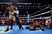 Деонтей Уайлдер, Бермэйн Стиверн, супертяжелый вес, WBC, бокс, видео