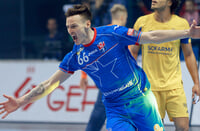 Лига чемпионов, SEHA-лига, Мешков Брест, Яка Малус