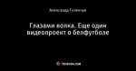 Глазами волка. Еще один видеопроект о белфутболе