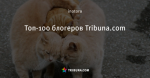 Топ-100 блогеров Tribuna.com