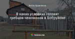 В каких условиях готовят гребцов-чемпионов в Бобруйске