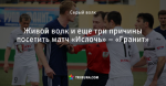 Живой волк и еще три причины посетить матч «Ислочь» – «Гранит»