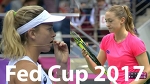 Sasnovich vs Vandeweghe Highlights HD / Fed Cup 2017 / Belarus - USA / Final