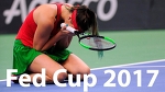 Sabalenka vs Stephens Highlights HD / Fed Cup 2017 / Belarus - USA / Final