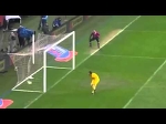 Inter - Juventus (0-1) Quagliarella's AMAZING GOAL