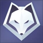 Winterfox CS:GO