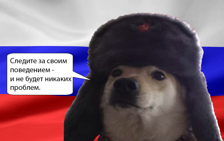 Russian text. Собака коммунист. Собака в ушанке Мем. Собака коммунист Мем. Doge в шапке ушанке.