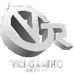 Vici Gaming Reborn Dota 2