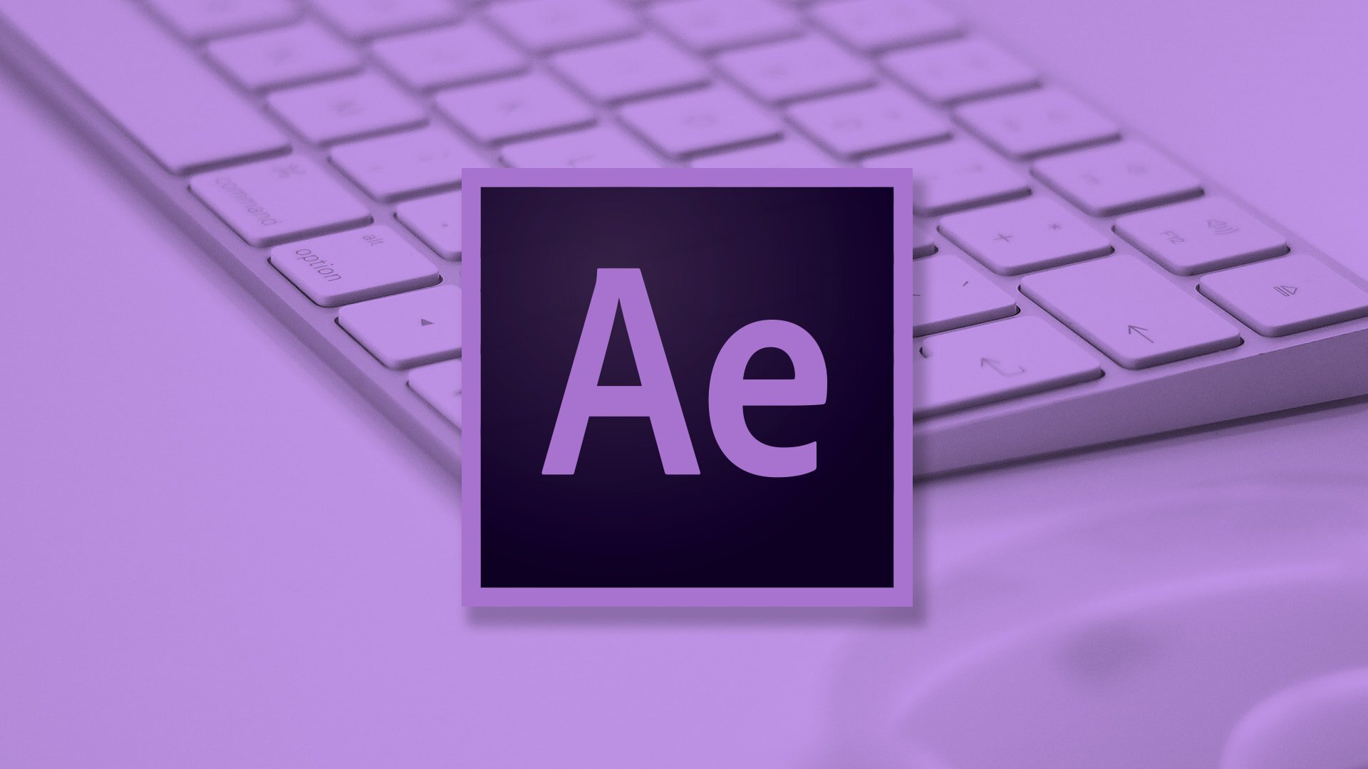 Adobe, Софт