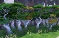 The International, Battle Pass 2020