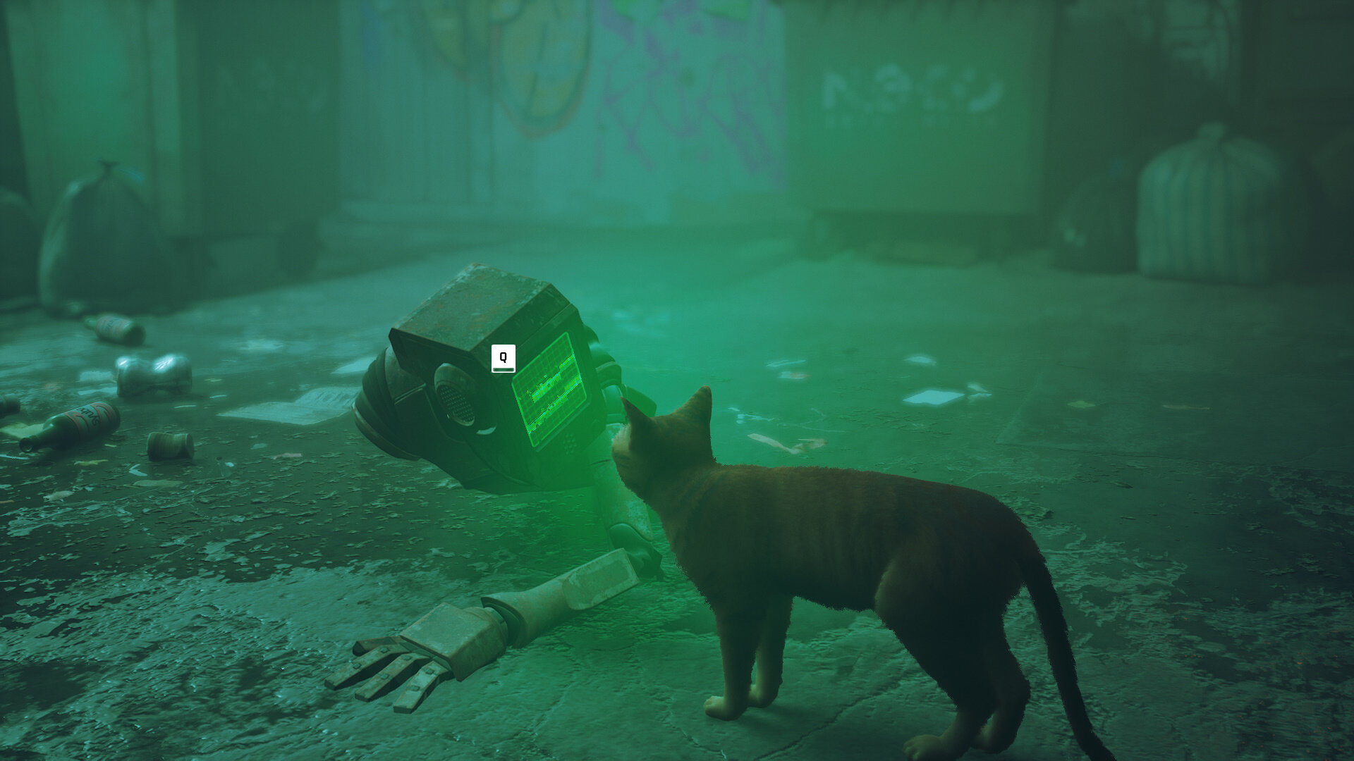 Stray — дата выхода в России и мире, системные требования, официальный ...