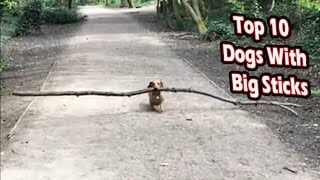 что такое инта в играх. Смотреть фото что такое инта в играх. Смотреть картинку что такое инта в играх. Картинка про что такое инта в играх. Фото что такое инта в играх