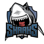 Состав команды Sharks CS GO