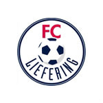 home logo
