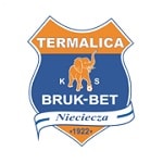 home logo