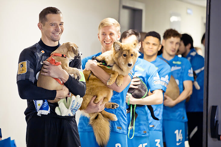 😍 Добрая акция «Зенита» – игроки вышли с собаками из приютов на матч с «Ростовом». Милые фото разлетелись по всему миру