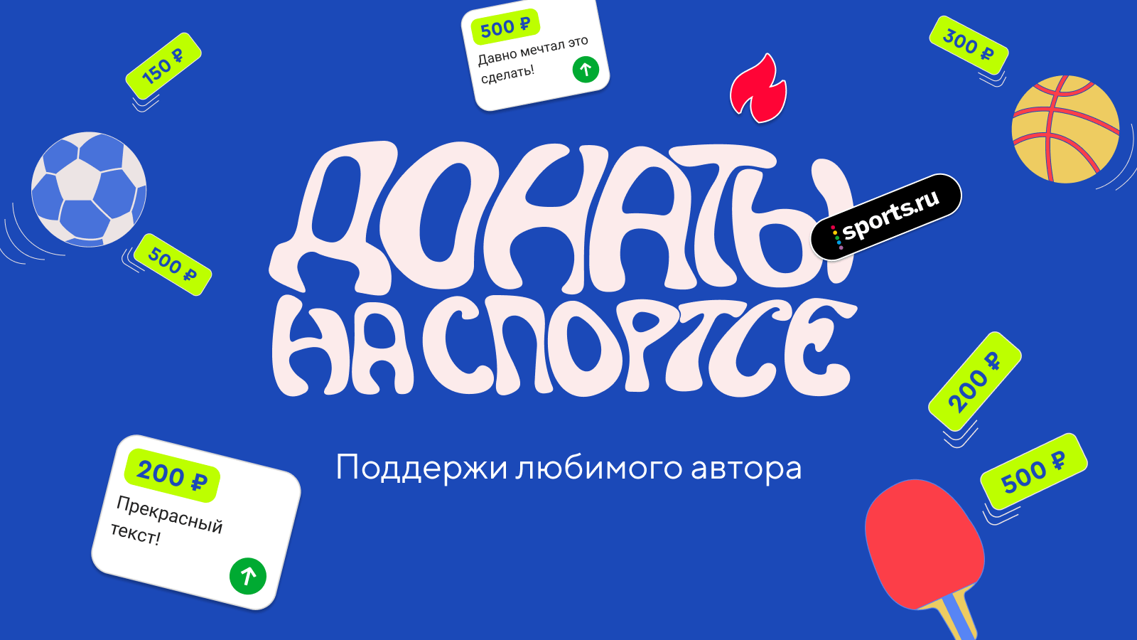 Деньги на котов, футбольные книги и награда худшего игрока РПЛ: итоги марафона донатов на Sports.ru
