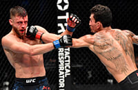 Конор Макгрегор, Келвин Каттар, MMA, Дастин Порье, UFC, Макс Холлоуэй, Хабиб Нурмагомедов, Александр Волкановски