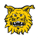 Tampereen Ilves