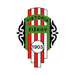 home logo