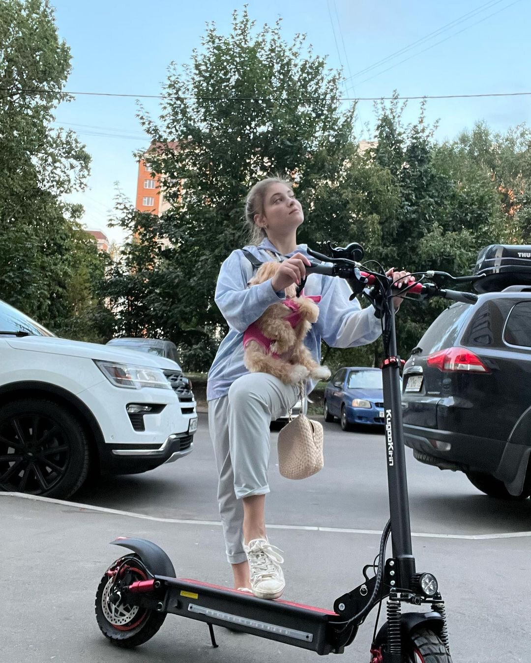 Живого коня у меня пока нет, а вот железный теперь есть. Косторная о новом электросамокате