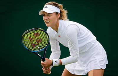 WTA, Ник Кириос, Анна Калинская