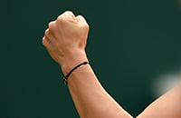 Тесты, WTA
