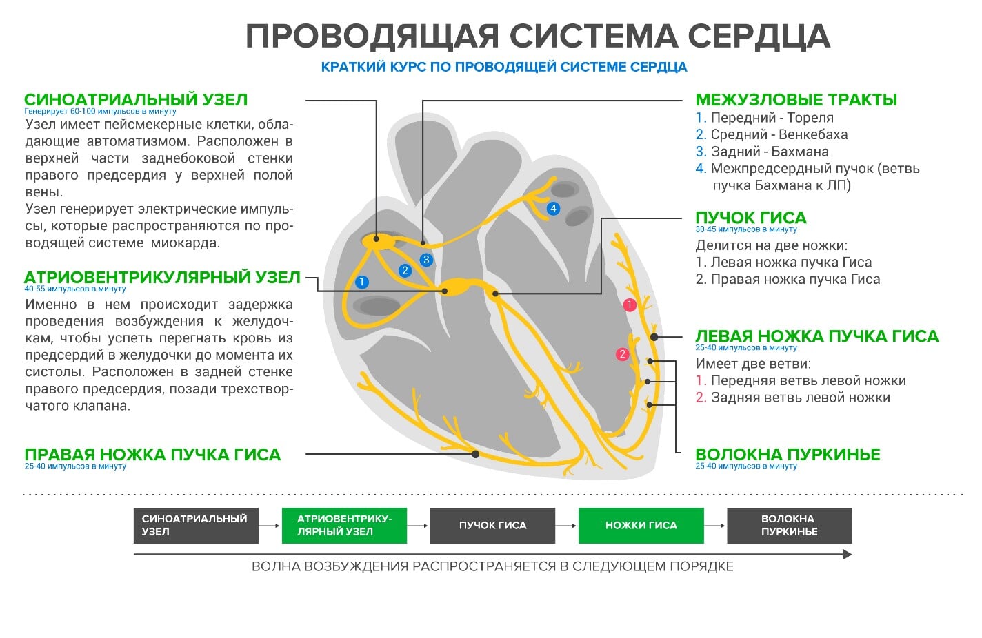 дейли блинд упал на поле. Смотреть фото дейли блинд упал на поле. Смотреть картинку дейли блинд упал на поле. Картинка про дейли блинд упал на поле. Фото дейли блинд упал на поле