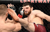 UFC, Магомед Анкалаев, Ион Куцелаба, MMA, UFC Fight Night