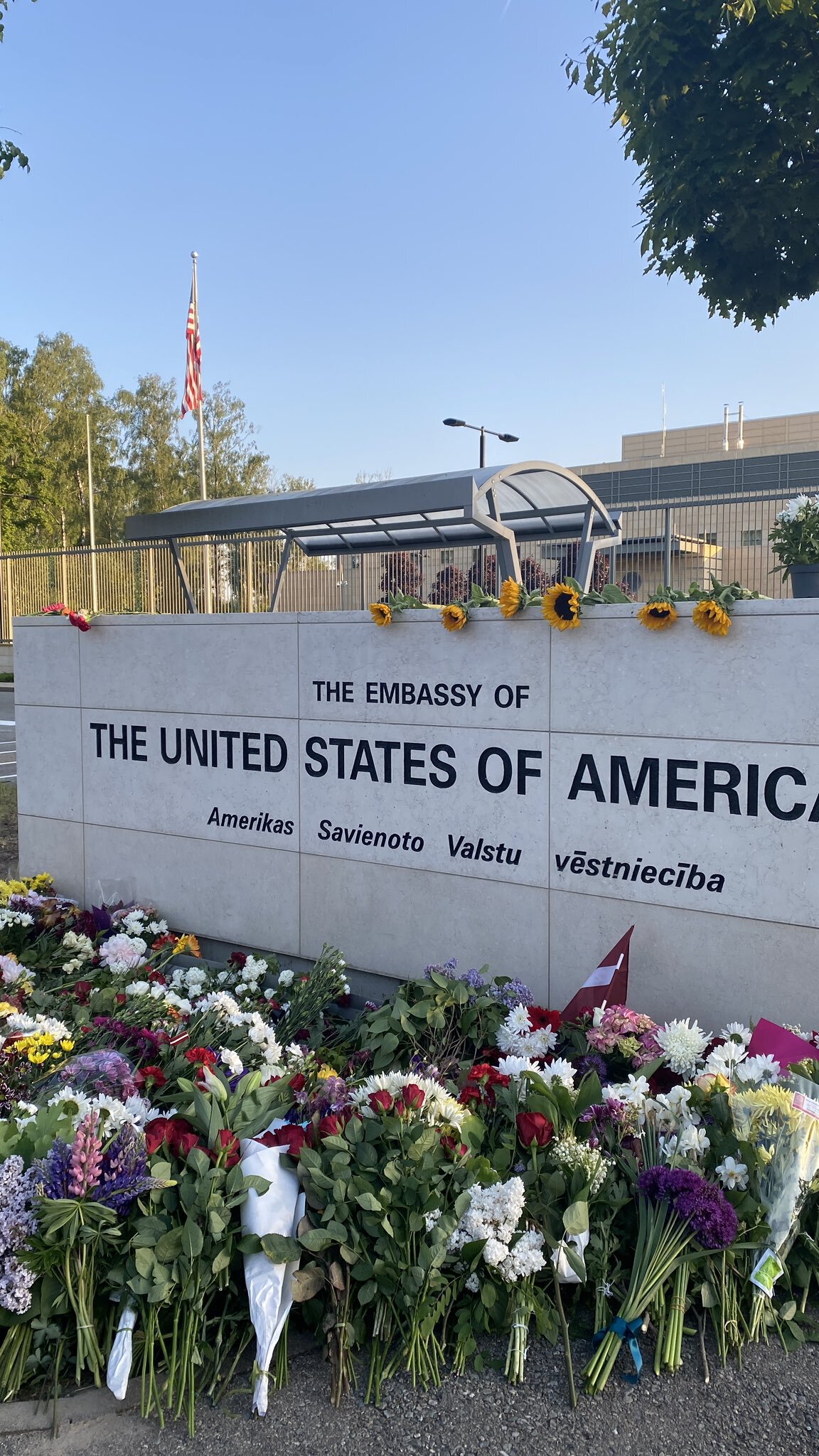 Болельщики сборной Латвии пришли с цветами к посольству США в Риге после победы на ЧМ, с ними сфотографировался посол