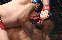 MMA, UFC, Алексей Олейник, UFC 246