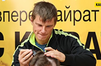 высшая лига Казахстан, Андрей Аршавин, Кайрат