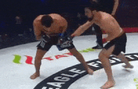 EFC, MMA