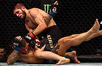MMA, Хабиб Нурмагомедов, UFC, Хабиб – Порье, UFC 242, Дастин Порье