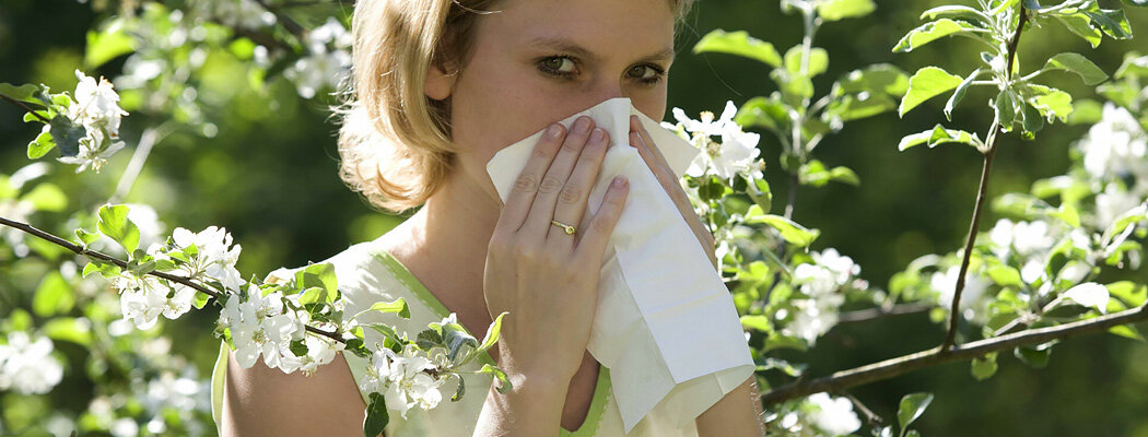 Сезонная аллергия: как распознать и лечить?