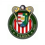 home logo